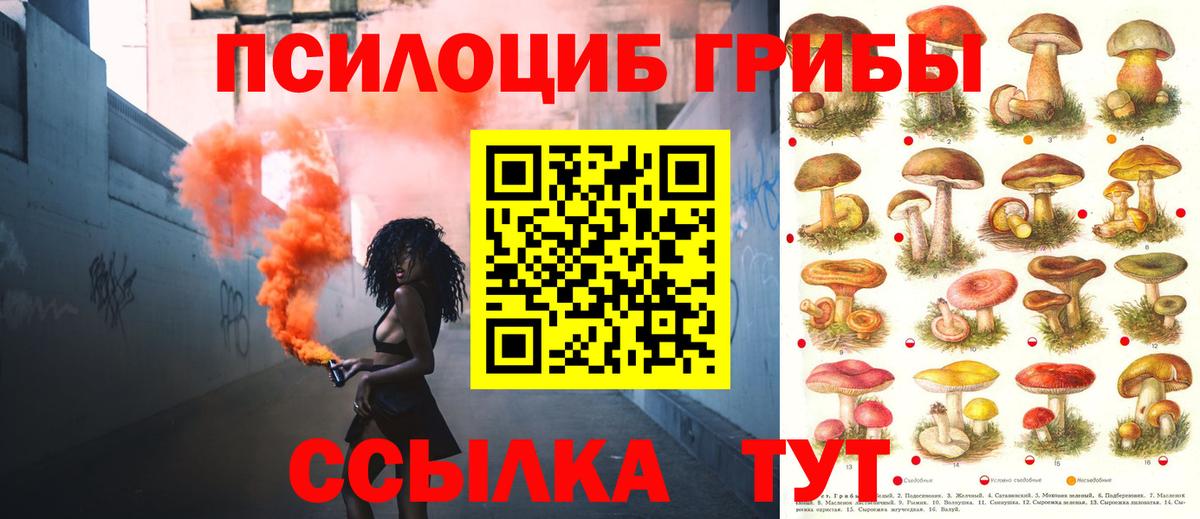 Ирбит  Галлюциногенные грибы Psilocybine cubensis  Вход с VPN 